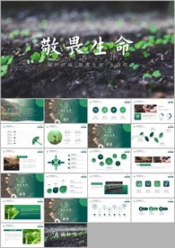 植物发芽植物生长敬畏生命ppt