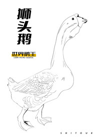 狮头鹅