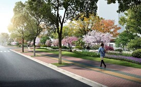 人行道绿化效果图