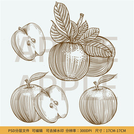 版画风线描苹果包装插画