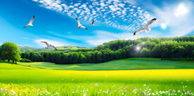 蓝天白云草原风景画