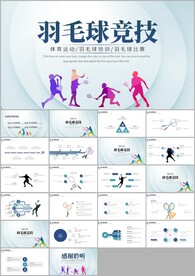 羽毛球比赛竞赛协会ppt