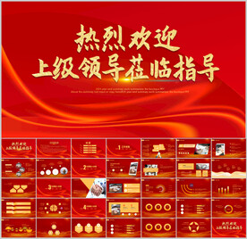 热烈欢迎领导参观指导考察