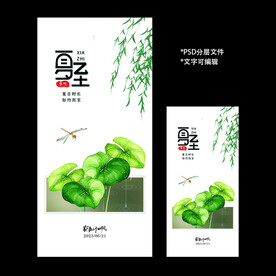 二十四节气夏至