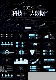 互联网项目报告工作总结ppt