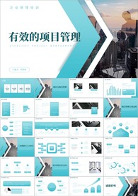 项目管理团队绩效考核PPT