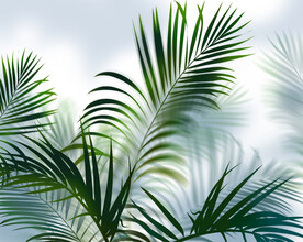 手绘分层绿植背景