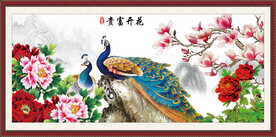 牡丹花 