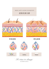 皮肤衰老