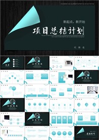 项目工作总结计划ppt