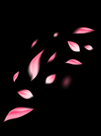 夏季飘落樱花桃花装饰漂浮花瓣