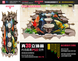 鹦鹉立体画
