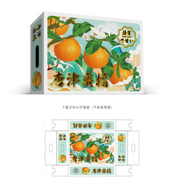 唐津蜜橘包装 