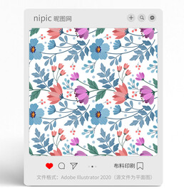 花朵花卉花纹