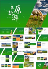 美丽草原内蒙古大草原PPT