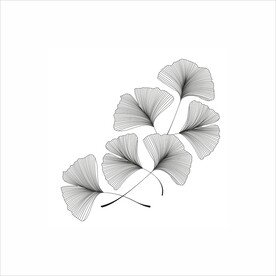 银杏叶子矢量图装饰花绘线条元素