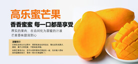 高乐蜜芒果