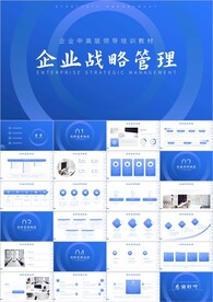 企业文化发展战略管理运营ppt