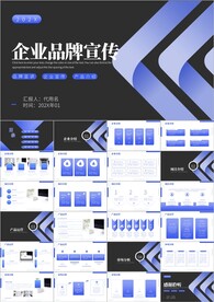 高端公司品牌策划方案ppt