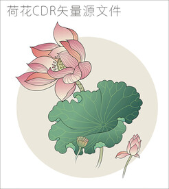 荷花 cdr