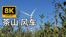 8K茶山
