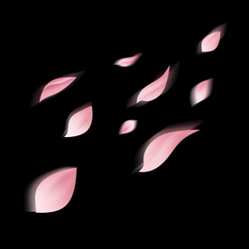 夏天飘落樱花桃花装饰花瓣漂浮