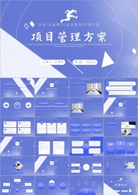 简约项目工作总结PPT