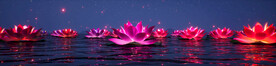 水面荷花灯