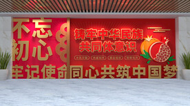 民族团结党建文化墙