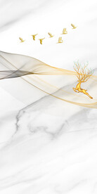 大气 简约玄关新图 Tif分层