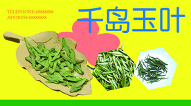 千岛玉叶