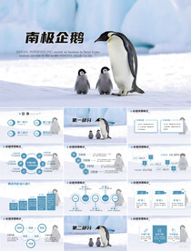 南极企鹅动态PPT模板
