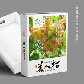 美人指葡萄包装 