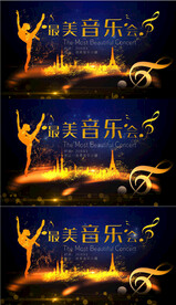醉美音乐会视频背景