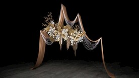 咖色布幔婚礼su模型