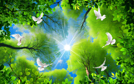 蓝天白云绿叶吊顶