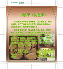 新疆沙漠果贴纸