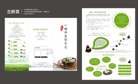鸡蛋三折页
