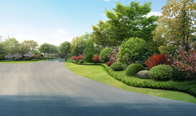 乡村道路绿化改造