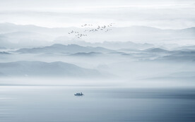 新中式意境水墨画