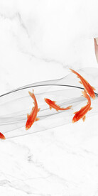 高档 新传玄关新画 Tif分层