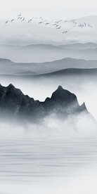 极简 现代人气玄关 TIf分层