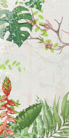 高雅 高清新装饰画 TIF分层