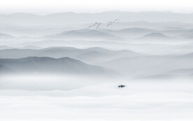 写意禅意水墨画背景墙