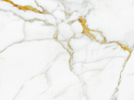 高端 新金线鱼肚白 tIF合层