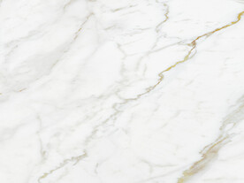 豪华 新金线鱼肚白 tIF合层