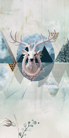 新款 清晰欧式玄关 TIF分层