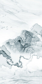 大气 高端新款玄关 TIF分层