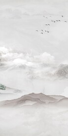 淡雅 简约新款玄关 TIF分层