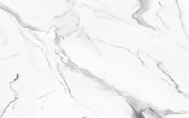 高清合层图 金线鱼肚白 高端爵